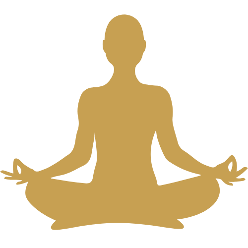 Cours de Yoga