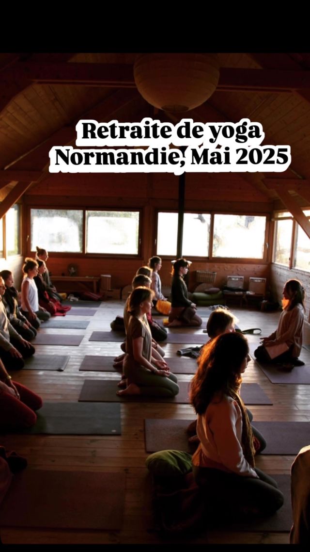 La semaine passée, s’est tenue la retraite de yoga immersive en Normandie, à @larbreauxetoiles menée par @merveilleusetrangete / 6 jours de yoga & d’introspection 🙏🏼✨

Une retraite de yoga n’est pas une formation, mais une expérience indispensable à toute avancée en yoga. Se retirer pour approfondir. S’écouter plus finement, s’observer mieux, et peu à peu abandonner le contrôle obsessionnel moderne mis sur le « gross body » (corps physique) pour préférer l’apprivoiser, le connaître mieux. 

Merci à tous les participants, élèves de yoga, stagiaires en formation et enseignants en activité. 
Un grand merci à Maÿlis pour la mise à disposition de son lieu, ainsi qu’à Céline et Yann de nous avoir tous nourris. 
Merci à @simrenou d’être arrivé comme une fleur pour prendre quelques clichés.

Bonne infusion à chacun.e 🌟

#yoga #rennes #yogarennes #rennesyoga #yogafrance #formationyoga #retraiteyoga #yogatetreat