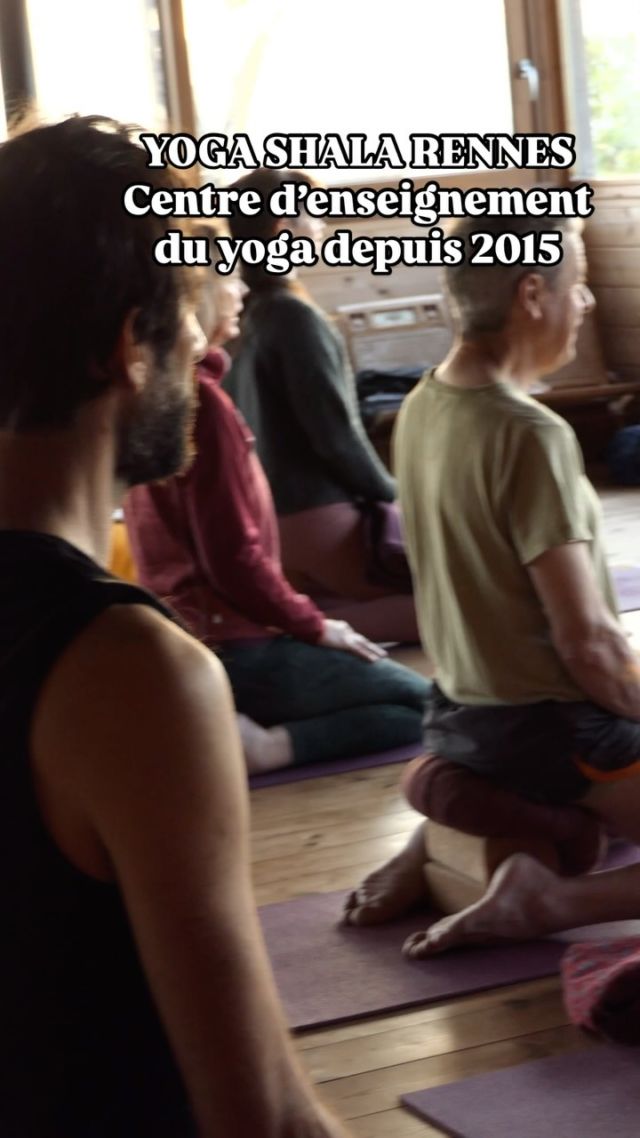 Un extrait du début d’une pratique de yoga matinale au lever du soleil, durant le séjour immersif du mois de Mai 2025. Se laisser porter par la vibration, outil non-décorrélé du travail corporel āsanas. Enseignante : @merveilleusetrangete 

📸 @simrenou 
@larbreauxetoiles 

#yoga #rennes #yogarennes #rennesyoga #yogashalarennes #yogalife #yogabretagne #yogafrance